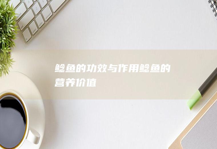 鲶鱼的功效与作用_鲶鱼的营养价值