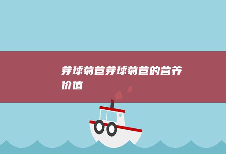 芽球菊苣_芽球菊苣的营养价值