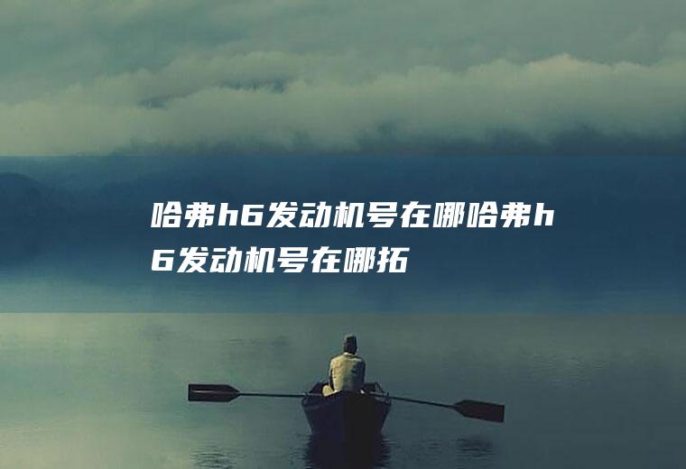 哈弗h6发动机号在哪(哈弗h6发动机号在哪拓号)