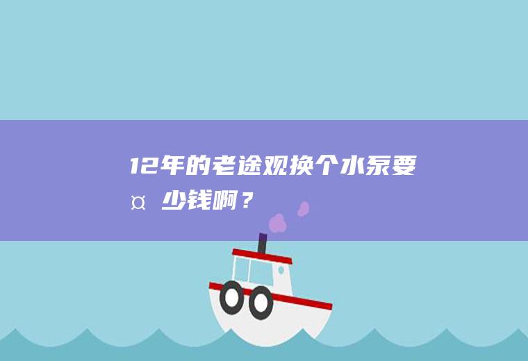 12年的老途观换个水泵要多少钱啊？