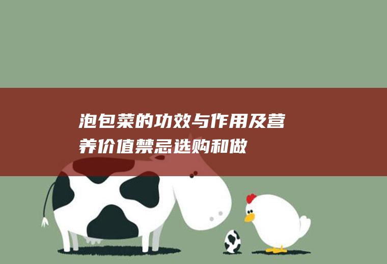 泡包菜的功效与作用及营养价值_禁忌_选购和做法