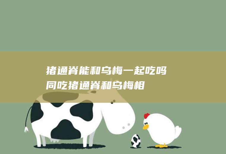 猪通脊能和乌梅一起吃吗/同吃_猪通脊和乌梅相克吗