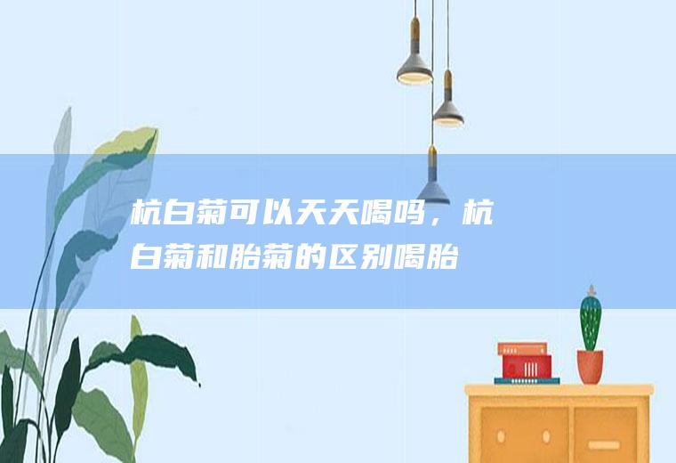 杭白菊可以天天喝吗，杭白菊和胎菊的区别_喝胎菊反倒上火