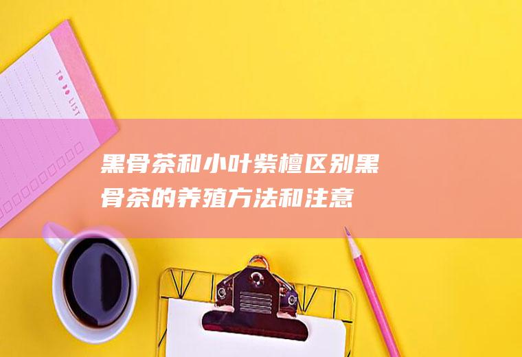 黑骨茶和小叶紫檀区别(黑骨茶的养殖方法和注意事项)