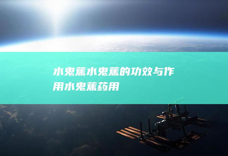 水鬼蕉_水鬼蕉的功效与作用_水鬼蕉药用