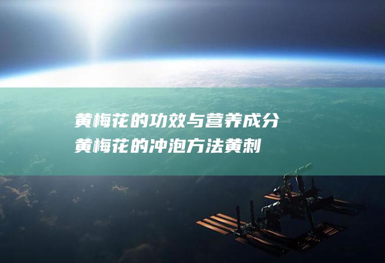 黄梅花的功效与营养成分黄梅花的冲泡方法(黄刺梅的花泡水喝的功效)