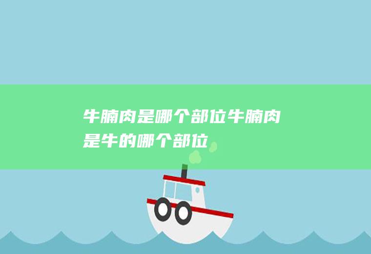 牛腩肉是哪个部位_牛腩肉是牛的哪个部位