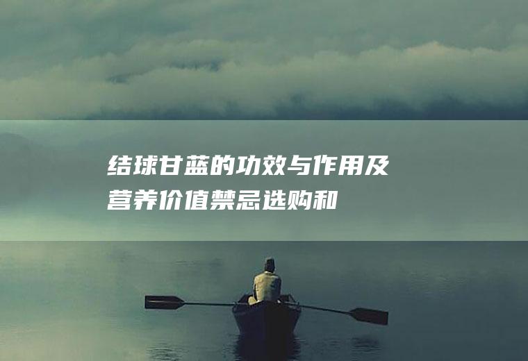 结球甘蓝的功效与作用及营养价值_禁忌_选购和做法