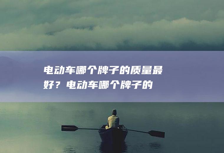 电动车哪个牌子的质量最好？(电动车哪个牌子的质量最好)