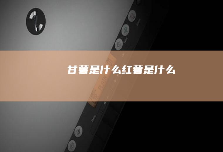 甘薯是什么_红薯是什么