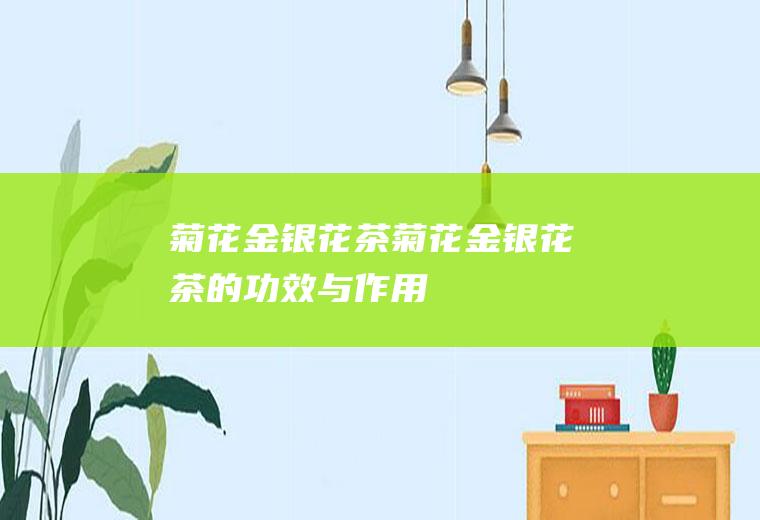 菊花茶菊花茶的与作用