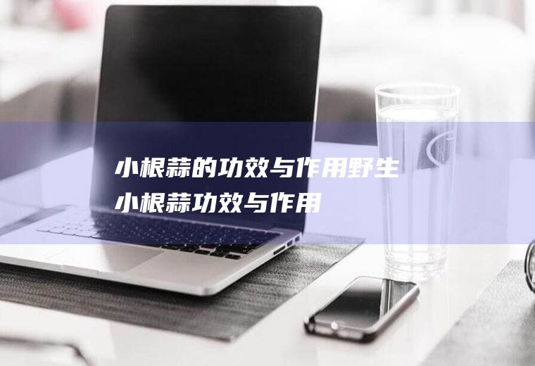 小根蒜的功效与作用_野生小根蒜功效与作用