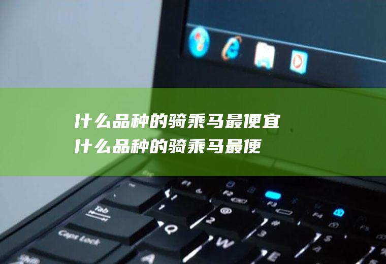什么品种的骑乘马最便宜(什么品种的骑乘马最便宜又好看)