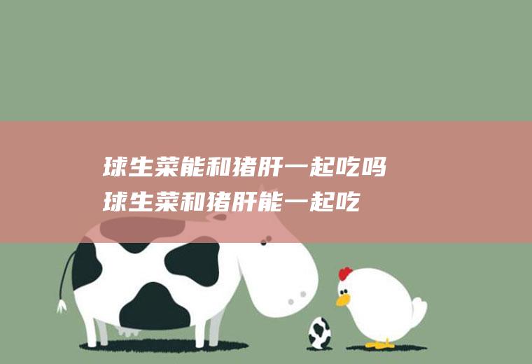 球生菜能和猪肝一起吃吗_球生菜和猪肝能一起吃吗/同吃