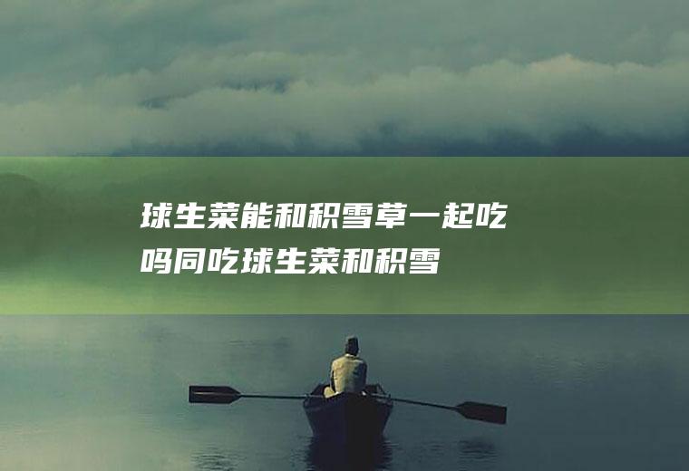 球生菜能和积雪草一起吃吗/同吃_球生菜和积雪草相克吗