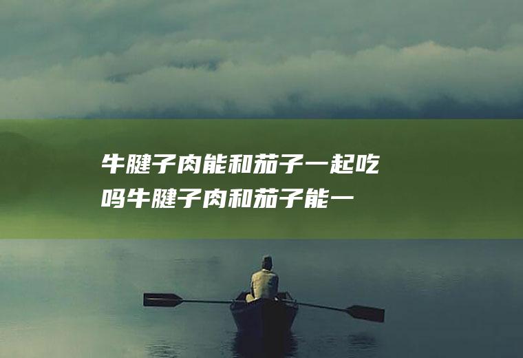 牛腱子肉能和茄子一起吃吗_牛腱子肉和茄子能一起吃吗/同吃