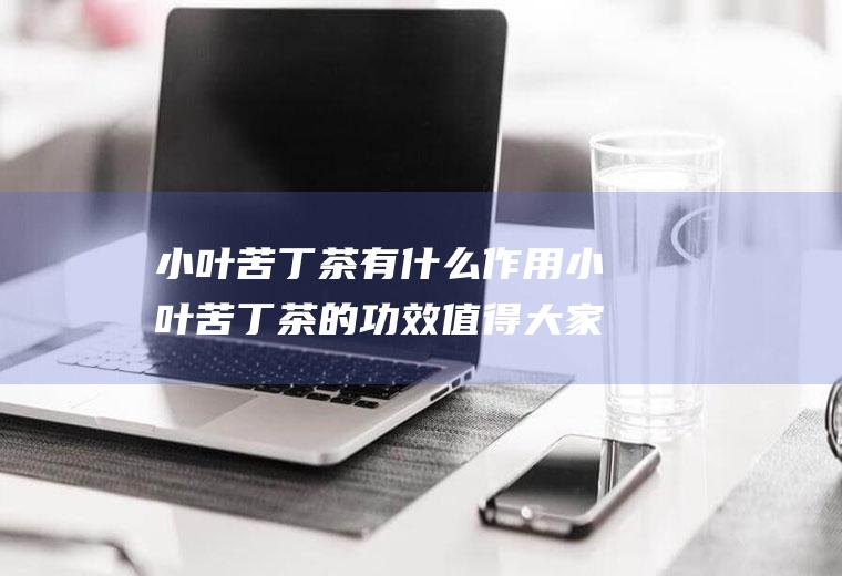 小叶苦丁茶有什么作用小叶苦丁茶的功效值得大家了解(小叶苦丁茶的功效与作用)
