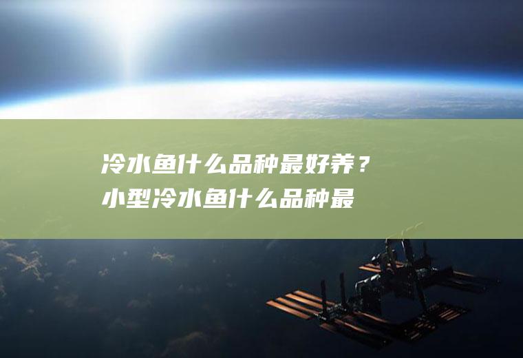 冷水鱼什么品种最好养？(小型冷水鱼什么品种最好养)