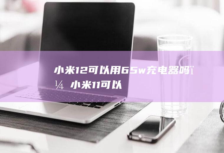 小米12可以用65w充电器吗？(小米11可以用65w充电器吗)