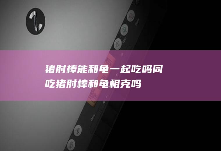 猪肘棒能和龟一起吃吗/同吃_猪肘棒和龟相克吗
