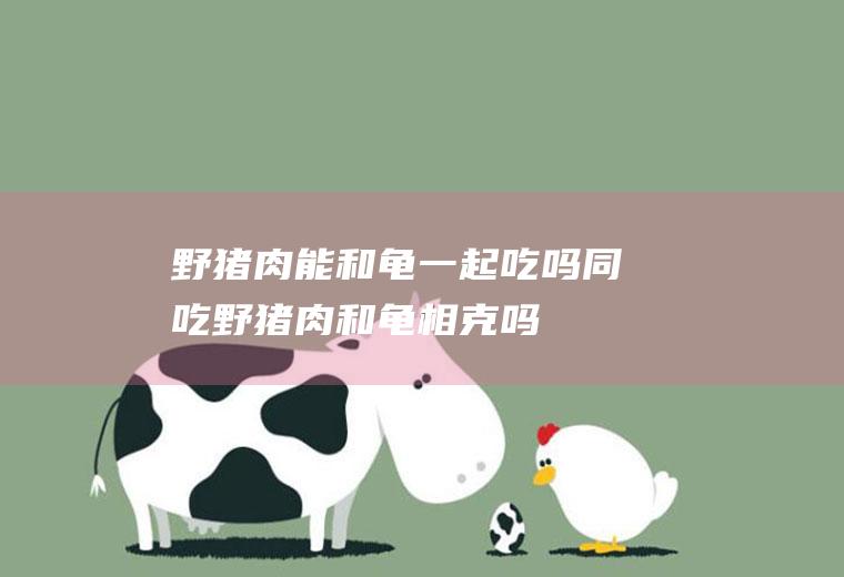 野猪肉能和龟一起吃吗/同吃_野猪肉和龟相克吗