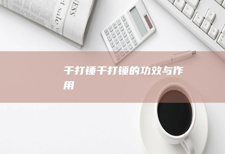 千打锤_千打锤的功效与作用