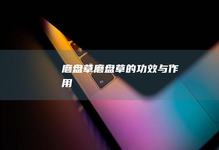磨盘草_磨盘草的功效与作用