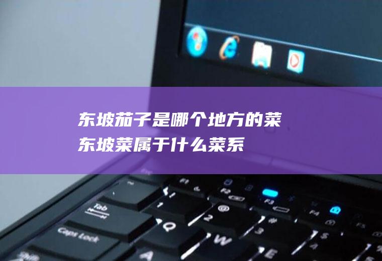 东坡茄子是哪个地方的菜(东坡菜属于什么菜系)