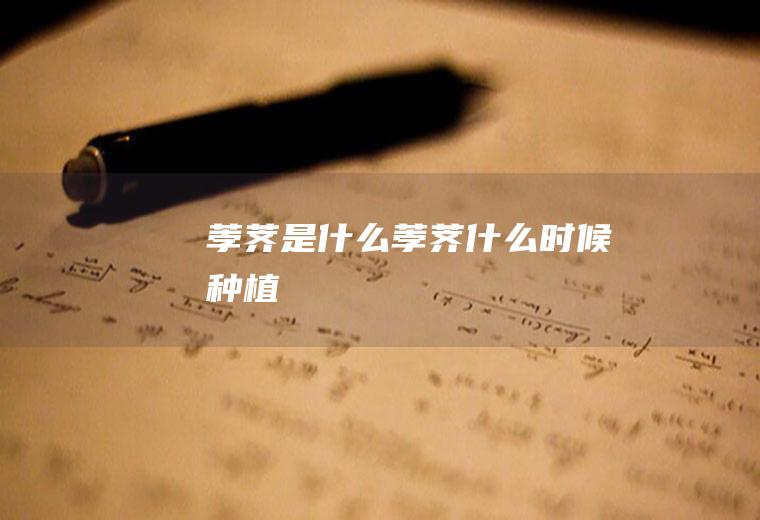 荸荠是什么(荸荠什么时候种植)