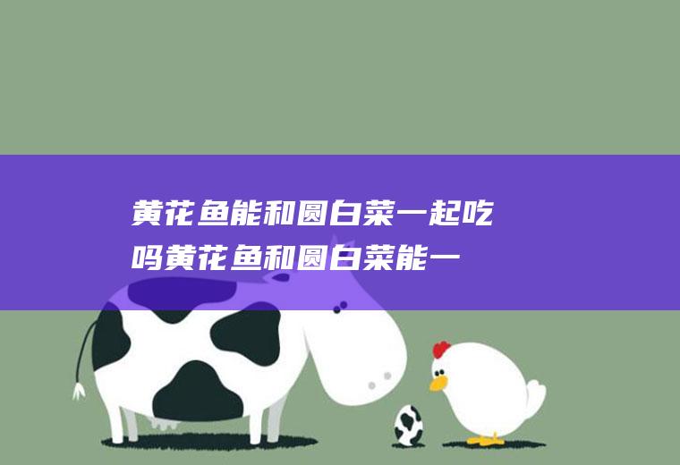 黄花鱼能和圆白菜一起吃吗_黄花鱼和圆白菜能一起吃吗/同吃