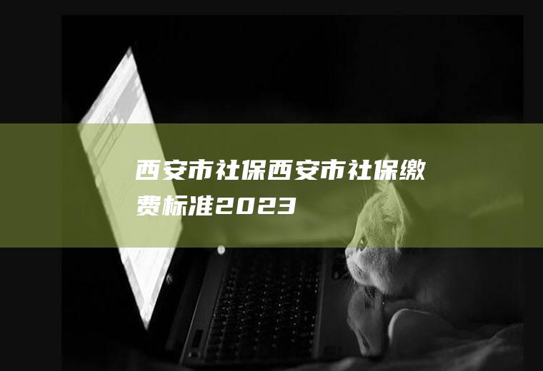 西安市社保（西安市社保缴费标准2023）