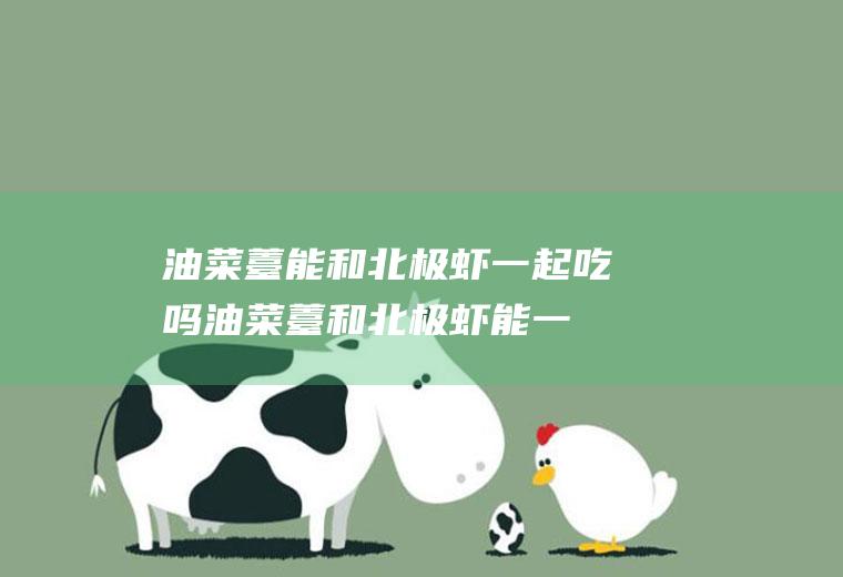 油菜薹能和北极虾一起吃吗油菜薹和北极虾能一