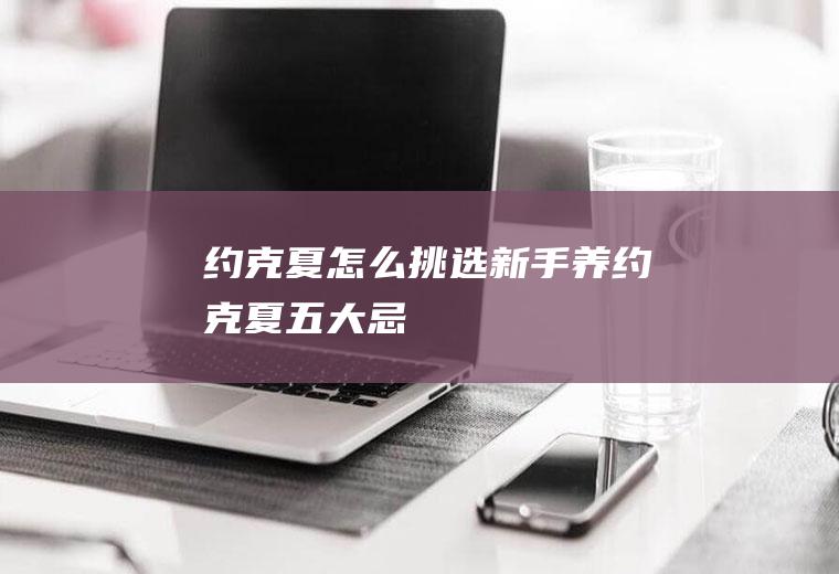 约克夏怎么挑选(新手养约克夏五大忌)