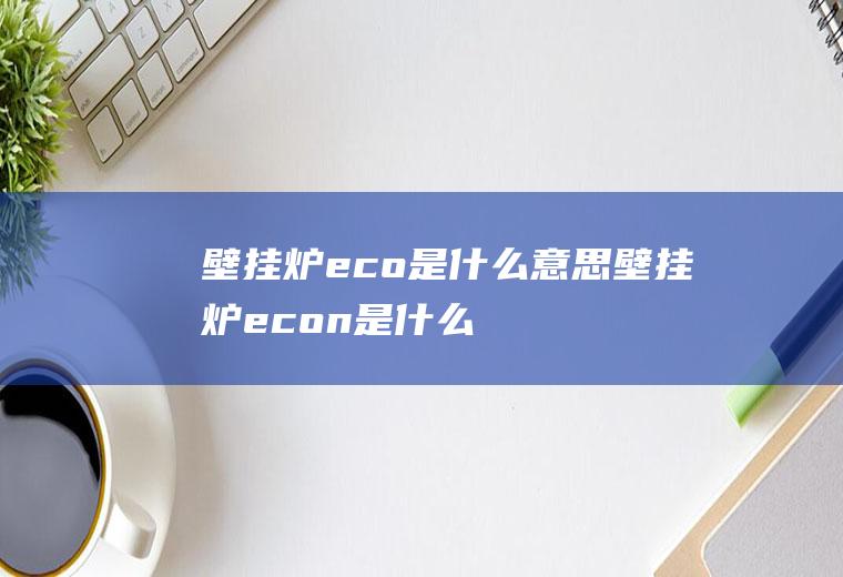 壁挂炉eco是什么意思,壁挂炉econ是什么意思