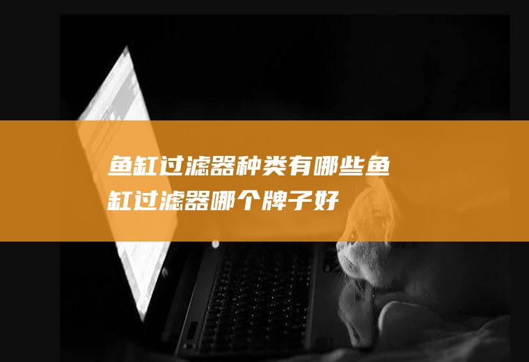 鱼缸过滤器种类有哪些(鱼缸过滤器哪个牌子好)