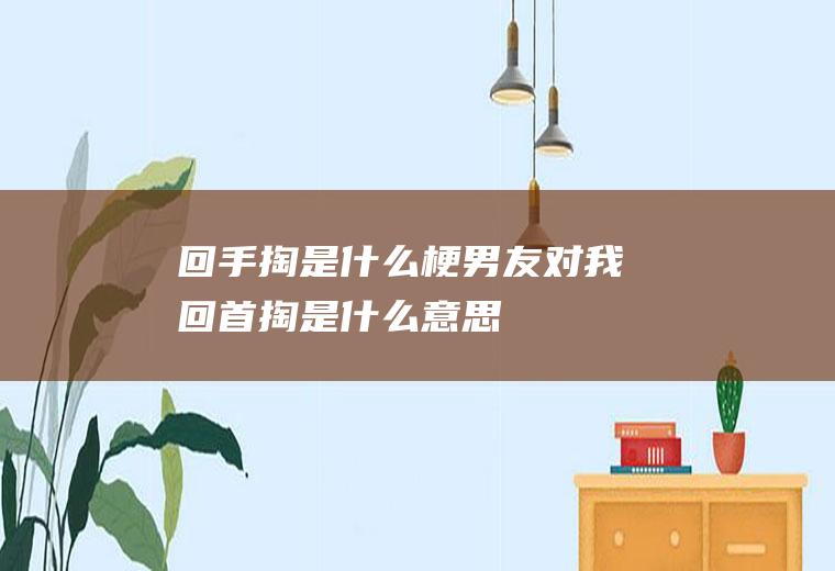 回手掏是什么梗(男友对我回首掏是什么意思)