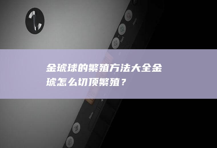 金琥球的繁殖方法大全,金琥怎么切顶繁殖？