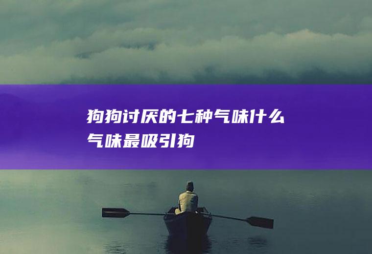 狗狗讨厌的七种气味(什么气味最吸引狗)