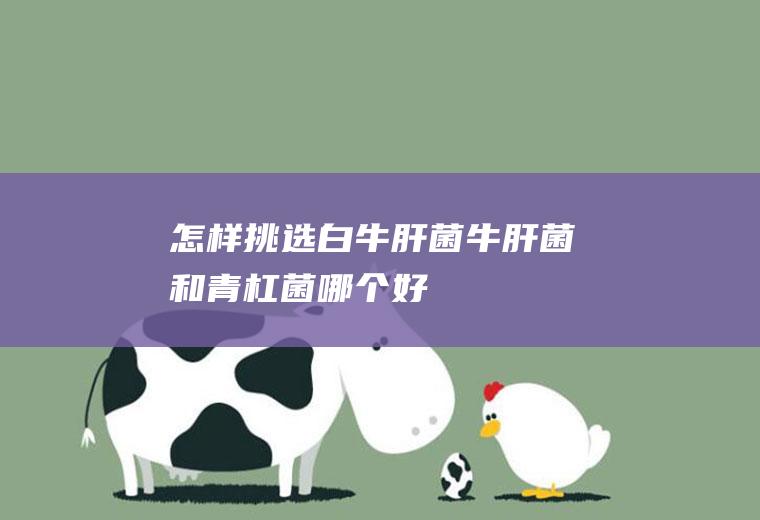 怎样挑选白牛肝菌(牛肝菌和青杠菌哪个好)