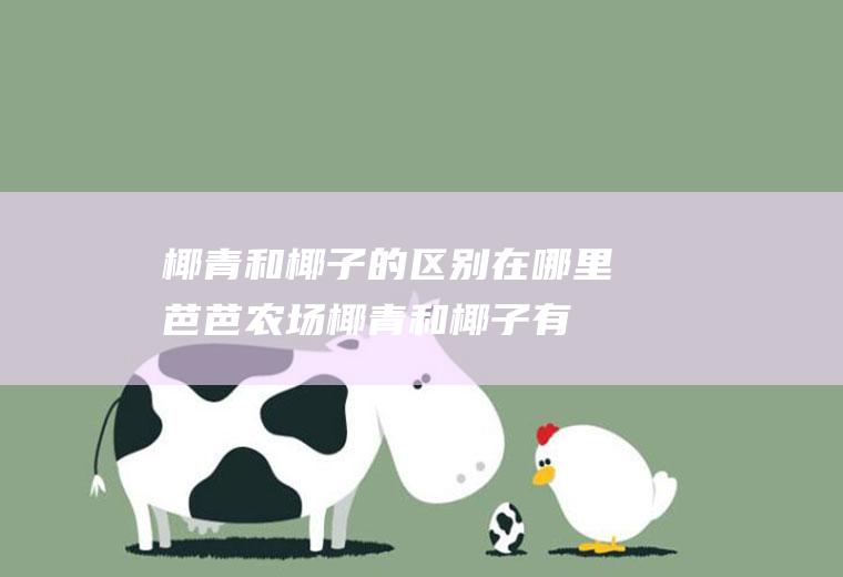 椰青和椰子的区别在哪里芭芭农场(椰青和椰子有何不同)