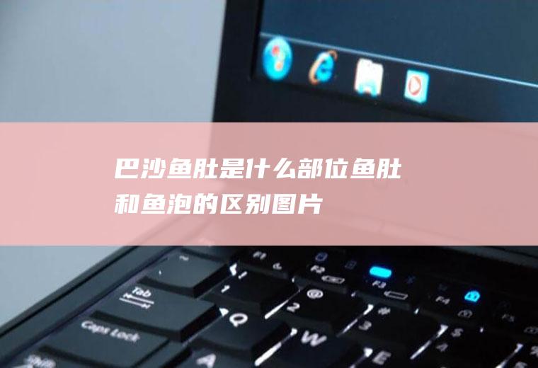 巴沙鱼肚是什么部位(鱼肚和鱼泡的区别图片)