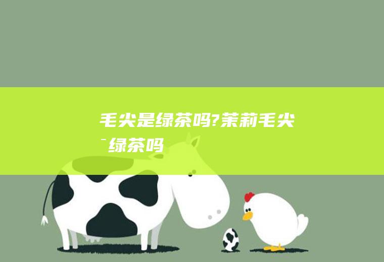 毛尖是绿茶吗?(茉莉毛尖是绿茶吗)