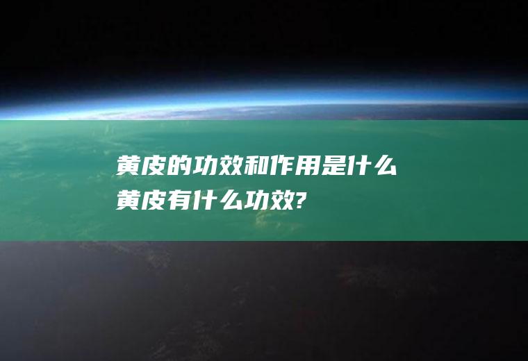 黄皮的功效和作用是什么(黄皮有什么功效?)