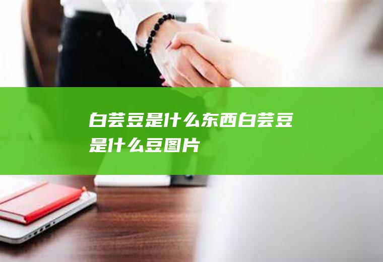 白芸豆是什么东西白芸豆是什么豆图片