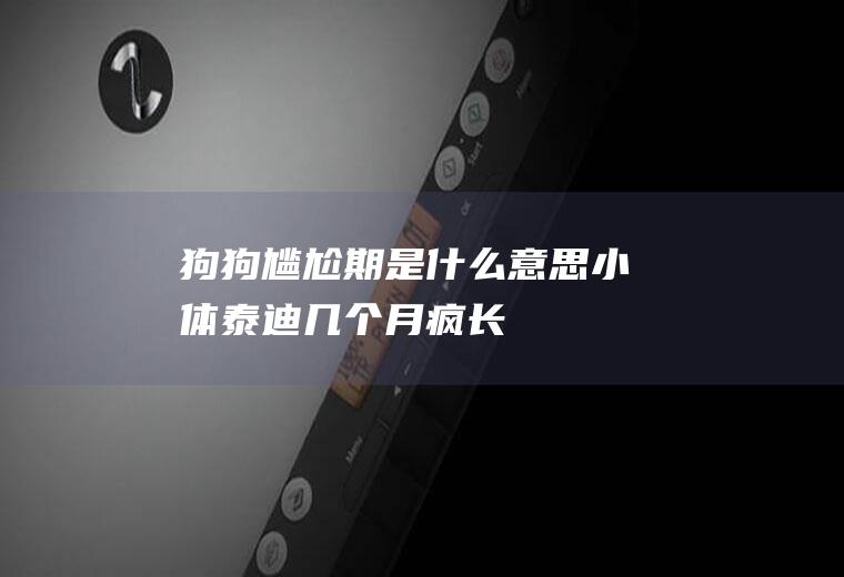 狗狗尴尬期是什么意思(小体泰迪几个月疯长)