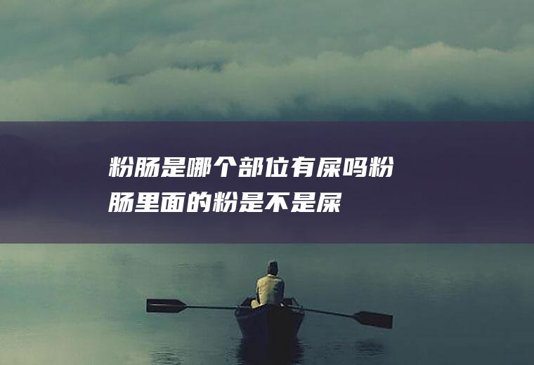 粉肠是哪个部位有屎吗(粉肠里面的粉是不是屎)