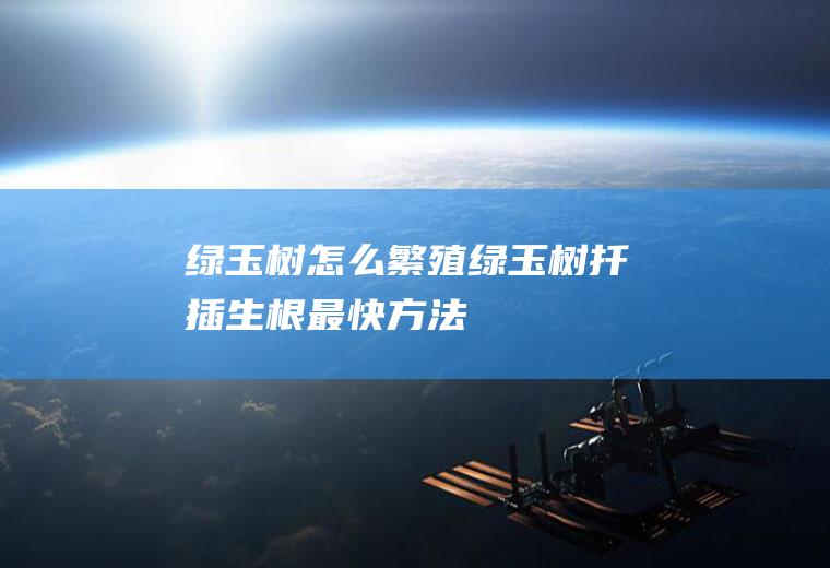 绿玉树怎么繁殖(绿玉树扦插生根最快方法)