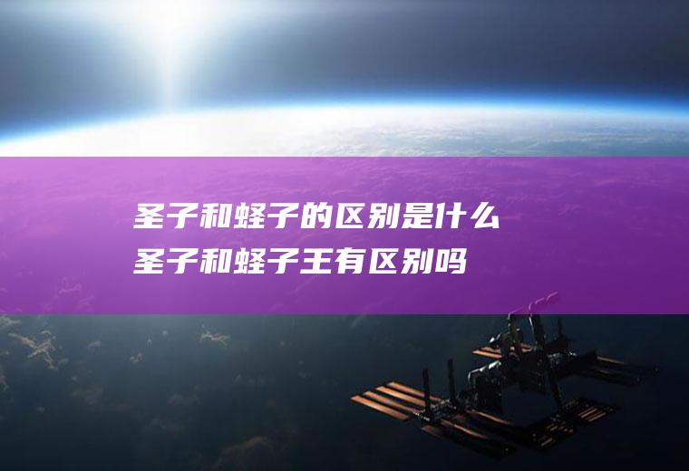 圣子和蛏子的区别是什么(圣子和蛏子王有区别吗)