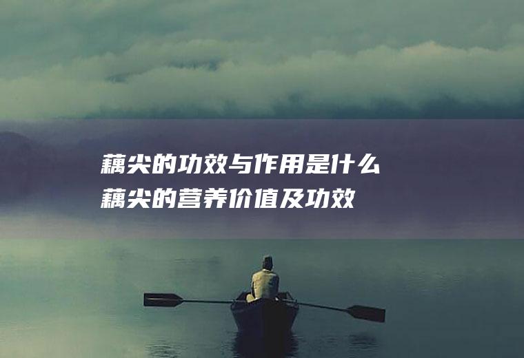 藕尖的功效与作用是什么(藕尖的营养价值及功效与作用)