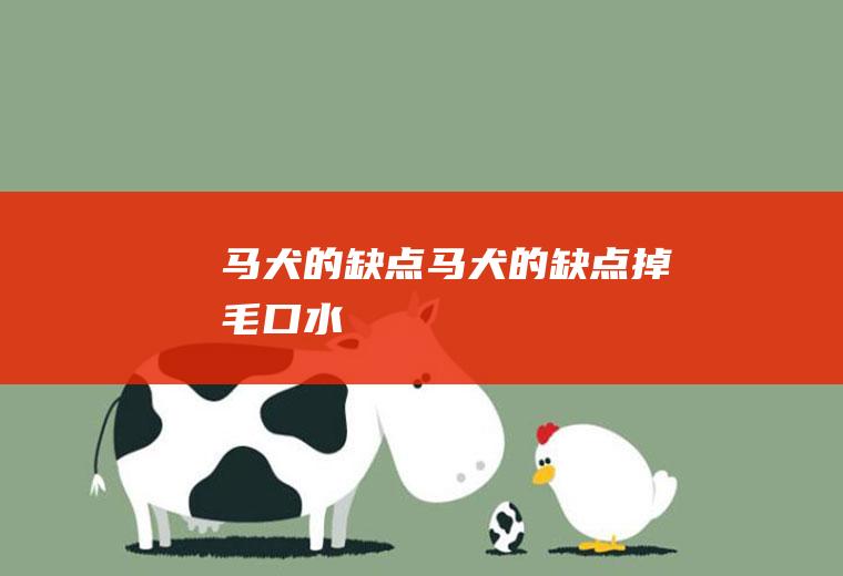 马犬的缺点(马犬的缺点掉毛口水)